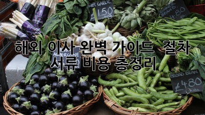 해외 이사 완벽 가이드 ✈️📦 절차, 서류, 비용 총정리!