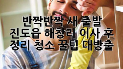 ✨ 반짝반짝 새 출발! 진도읍 해창리 이사 후 정리, 청소 꿀팁 대방출 🏠